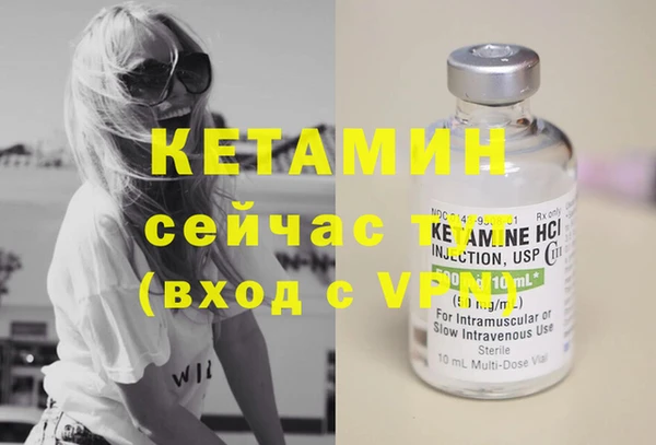 твердый Вяземский
