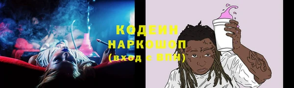 индика Горно-Алтайск