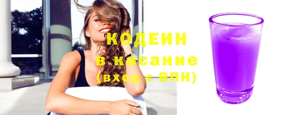 твердый Вяземский
