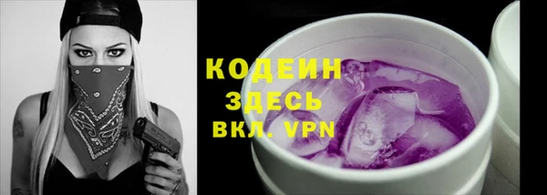 твердый Горняк
