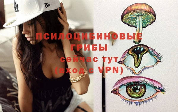 твердый Горняк