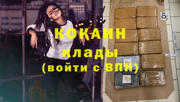 твердый Горняк