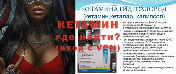 индика Горно-Алтайск