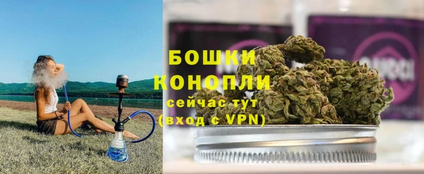 индика Горно-Алтайск