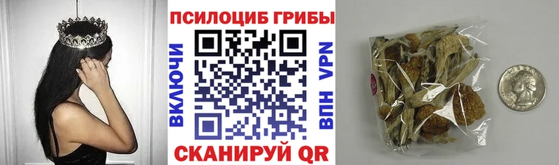 shop состав  Пласт  Псилоцибиновые грибы Cubensis  купить закладку 