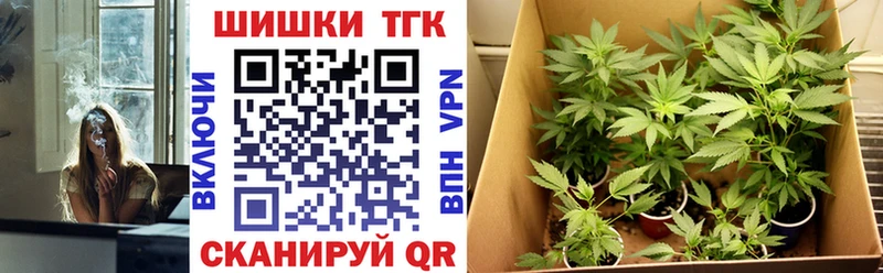 кракен вход  Пласт  Каннабис планчик 